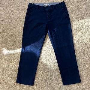 Banana Republic Hampton Fit Blue Size 8